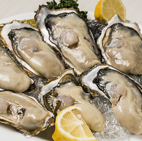 OysterBar OISSU ICbX