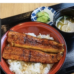 鰻丼 梅(半身)