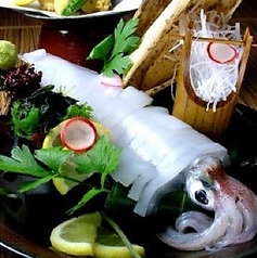 人気No.1 やりいかの姿造り