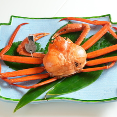 滝の川 別邸 福井御幸店のおすすめポイント1