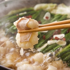 博多本場 もつ鍋（醤油orごまみそ）