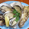 料理メニュー写真&nbsp;牡蠣四種食べ比べ(生)