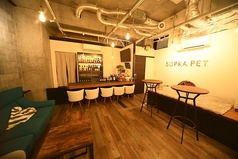 SOPRA PET Cafe ソプラペット カフェの雰囲気2