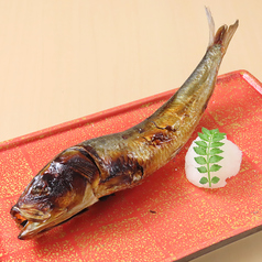 真いわし