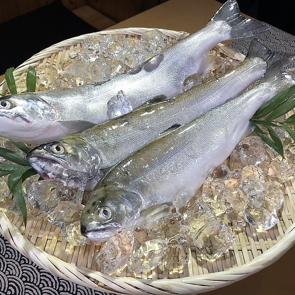 店主自ら漁に出ており、仲間の漁師と連携し直接仕入れる事でお手頃価格で琵琶鱒をご提供しております