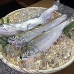 店主自ら漁に出ており、仲間の漁師と連携し直接仕入れる事でお手頃価格で琵琶鱒をご提供しております