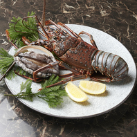 カウンター席を完備