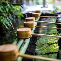貴船 水源の森 天山の特集写真
