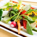 料理メニュー写真 水素還元12種サラダ ～有機野菜ソース仕立て～