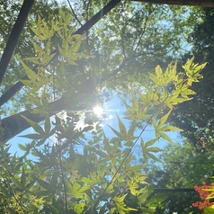 貴船 水源の森 天山の特集写真