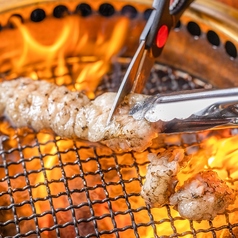 焼肉ホルモン こたろう 尾張旭渋川店の特集写真