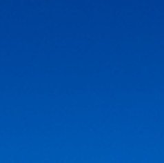 PITBULL BROTHERSの写真