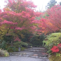 松山閣 松山本店の雰囲気1