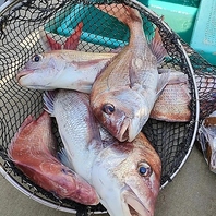 東三国に大集合！！日本全国からの産地直送鮮魚っ！