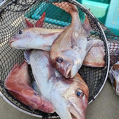 新大阪海鮮食堂 おーうえすとの写真2