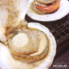 産地直送殻付 ホタテ