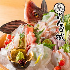 全席扉付き個室　旨いマグロと信玄どり　海鮮居酒屋　うお城　川崎駅前店の写真