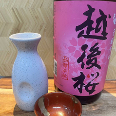 越後桜（新潟）1合