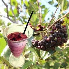 アロニアミルク