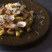 TOLAH UMEDA トーラの写真