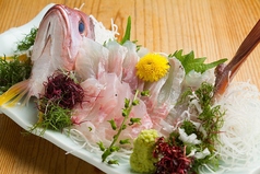 さかな市場 漁漁 多摩センター店のコース写真