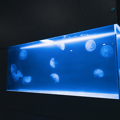 クラゲのいるカフェ&バー tayuta タユタの写真