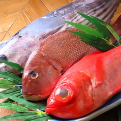 地元食材の海鮮には特に自身ございます!