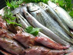 和楽 酔竹のおすすめポイント1