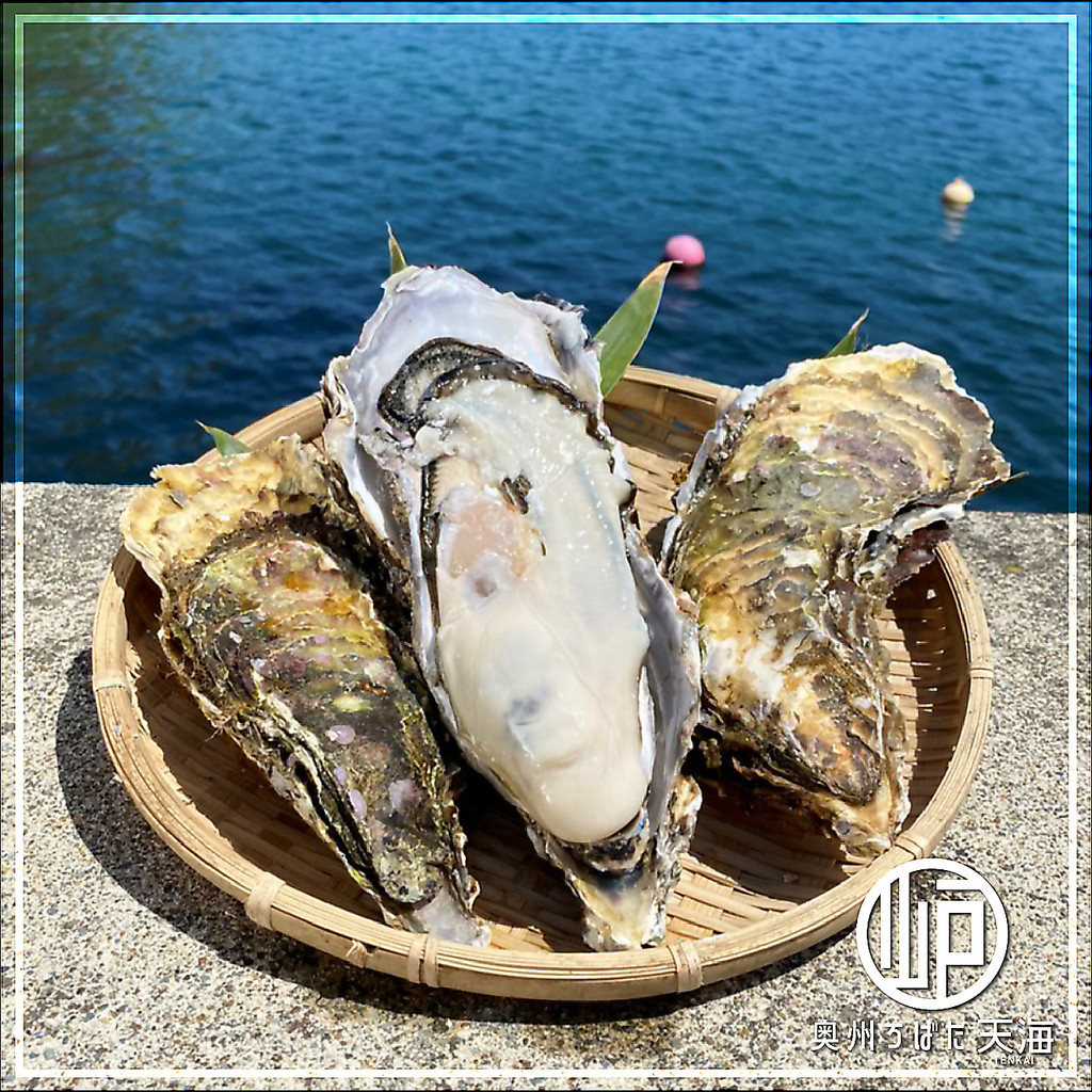 厳選された三陸の牡蠣をご堪能いただけます。海の幸とともに贅沢なひとときをお過ごしくださいませ。