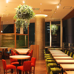 和食バル 音音 虎ノ門ヒルズ店の特集写真