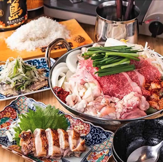 ヤキトリボーイシュウマイガール 梅田店の特集写真