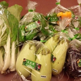 大成閣農園で収穫したお野菜は、お惣菜と共に大丸心斎橋店にて販売することもあります。