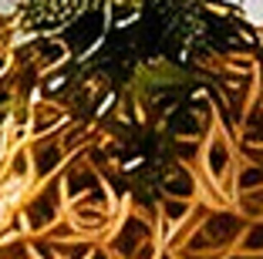 和風パスタ