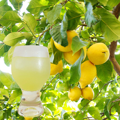 あらごしレモンサワー