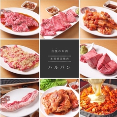 韓国本場焼肉 ハルバン 仙台国分町店のおすすめポイント1