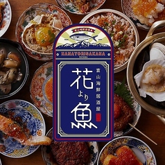 花より魚の特集写真
