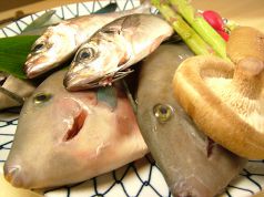 魚炉目の写真3