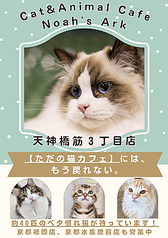 Cat&Animal Cafe Noah s Ark ノアズアーク 大阪天神橋3丁目店の写真