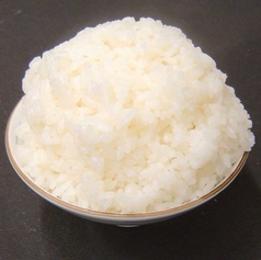 ご飯