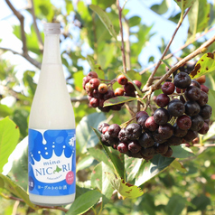 アロニアとヨーグルトのお酒