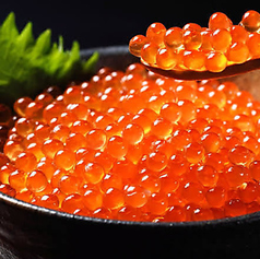 和 枚方駅前店の特集写真