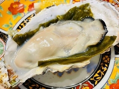 兵庫県赤穂の大粒牡蠣 蒸