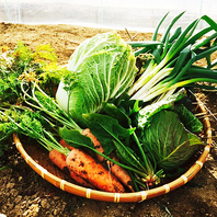 地産地消のこだわり野菜！