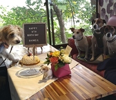 セルフサービスフレンチ ルナティックの雰囲気2