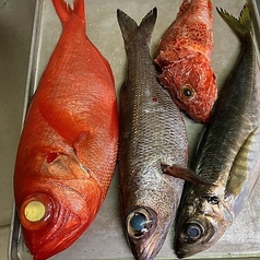 食彩 市の特集写真