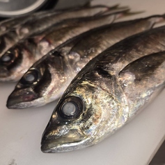 旨い魚には旨い酒。酒が進むこだわりの創作魚料理