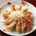 料理メニュー写真 魚ます自慢の浜松餃子　円ばん焼き(12ケ)