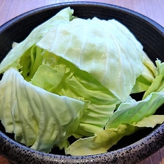 生キャベツ