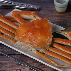 産直鮮魚とA5黒毛和牛を味わえる贅沢コースご案内