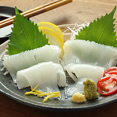 イカ刺身